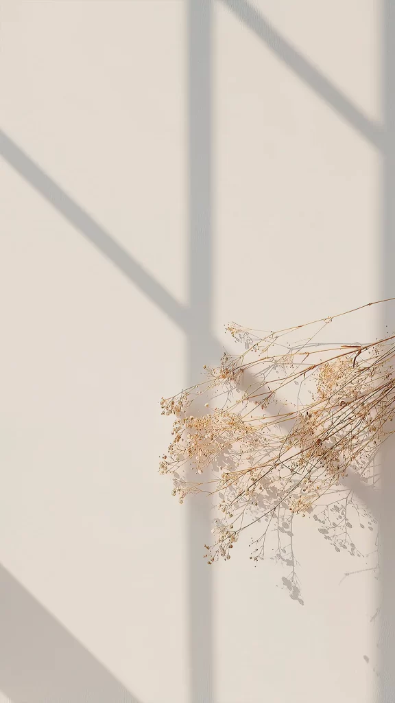Dry Flowers Shadow Sunlight White Wall