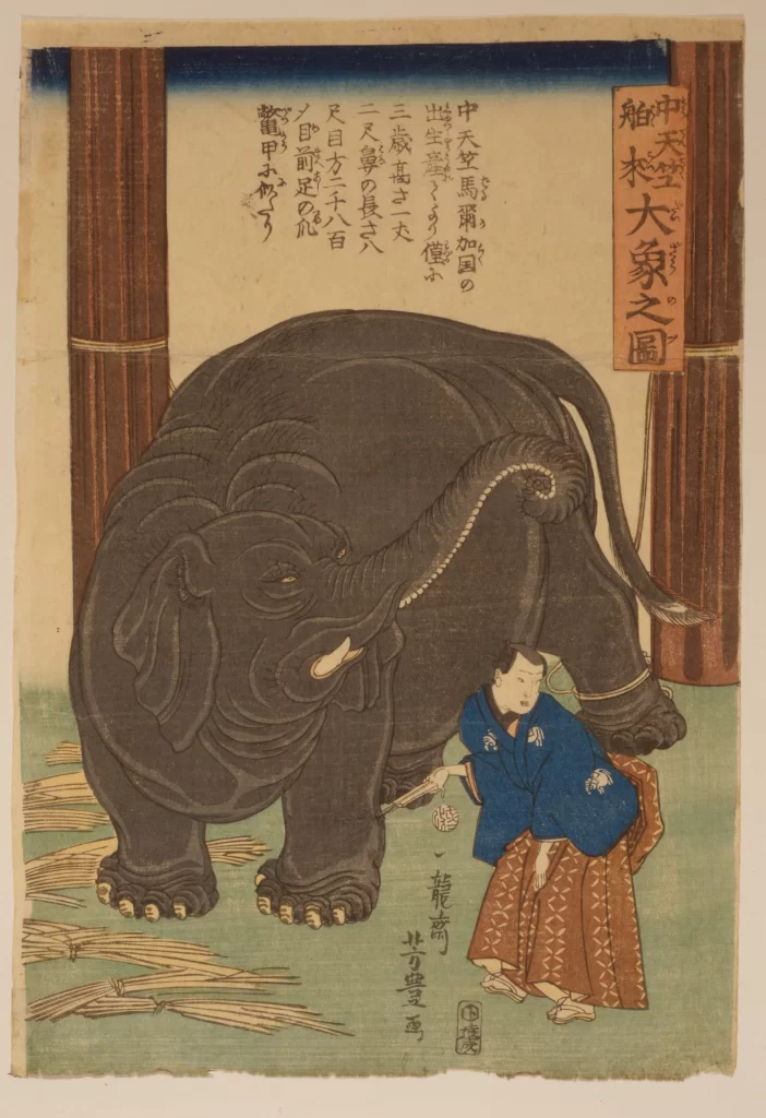 Elephant Traditional Attire Japanese Text Interaction Utagawa Kuniyoshi
