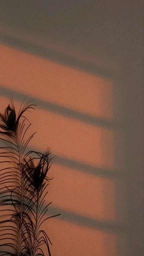 Feather Shadow Sunset Orange Tranquil