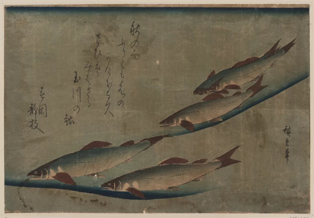Fish Traditional Japanese Art Calligraphy Nature