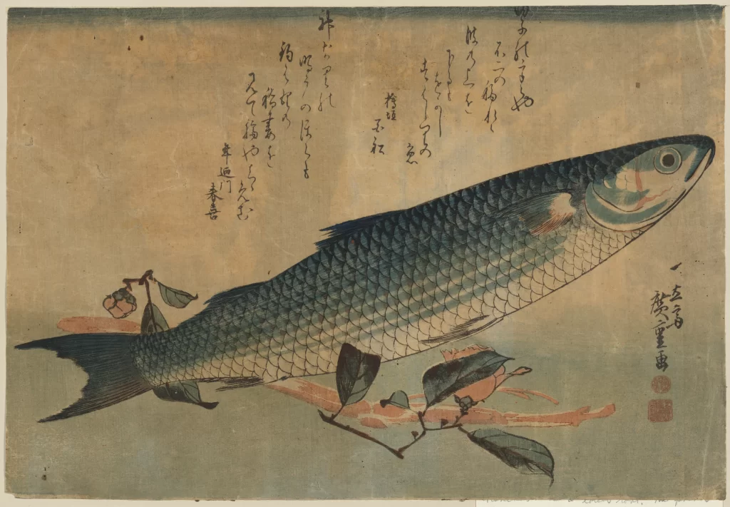 Fish Traditional Japanese Art Nature Botanical