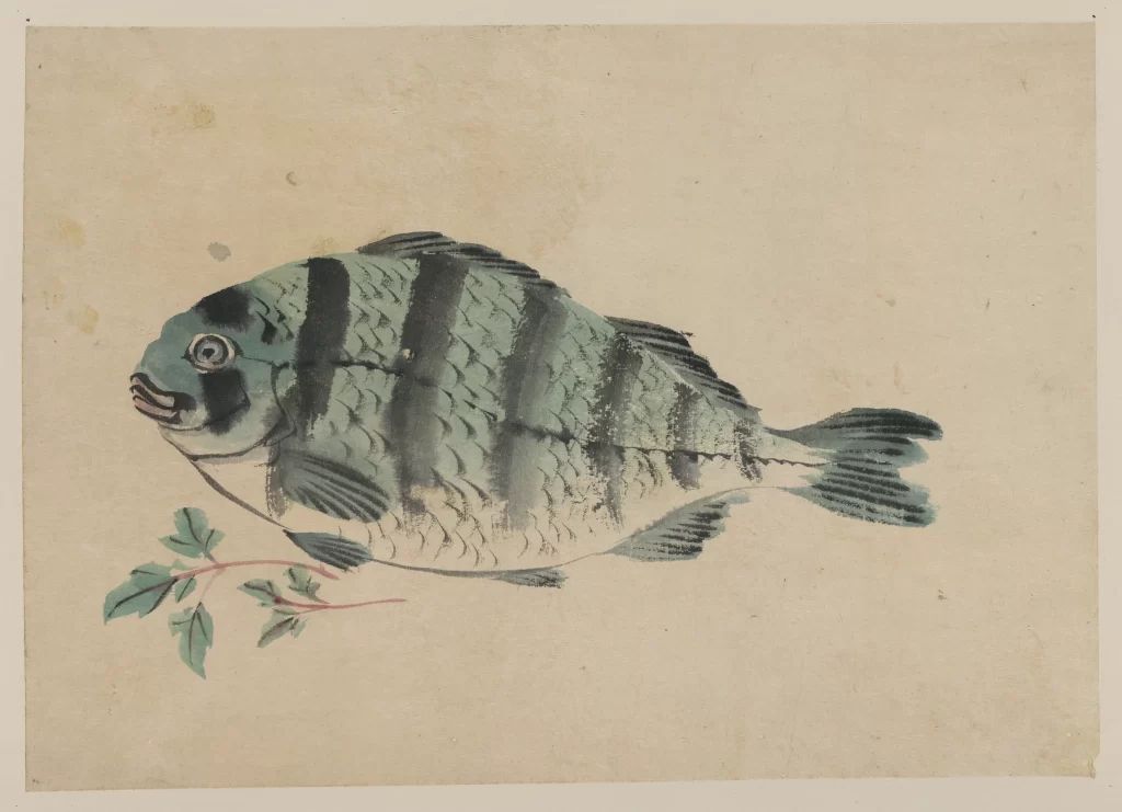 Fish Traditional Painting Brush Ink Nature