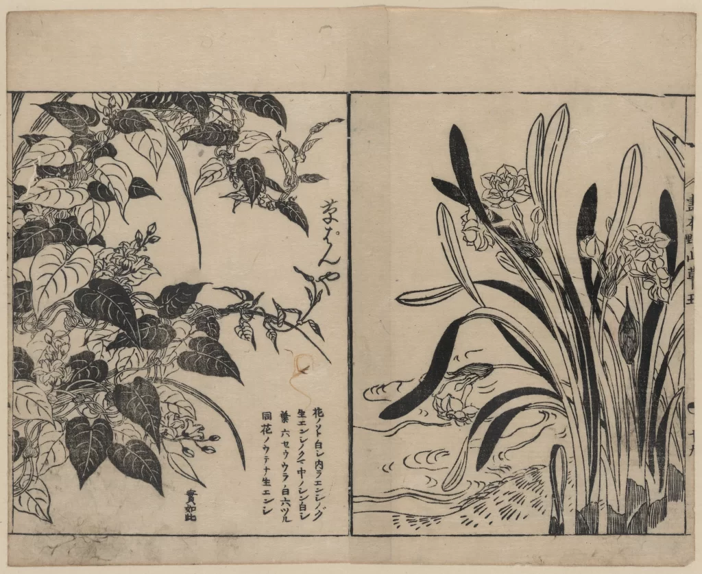 Floral Botanical Leaves Flowers Japanese Script