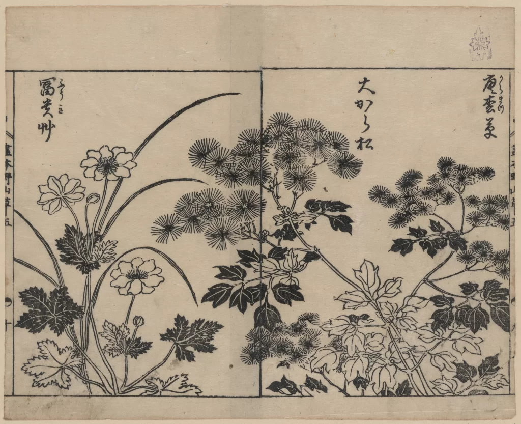 Flowers Plants Leaves Branches Japanese Script