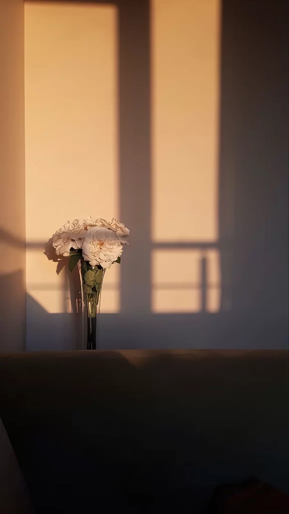 Flowers Vase Sunlight Shadow Interior