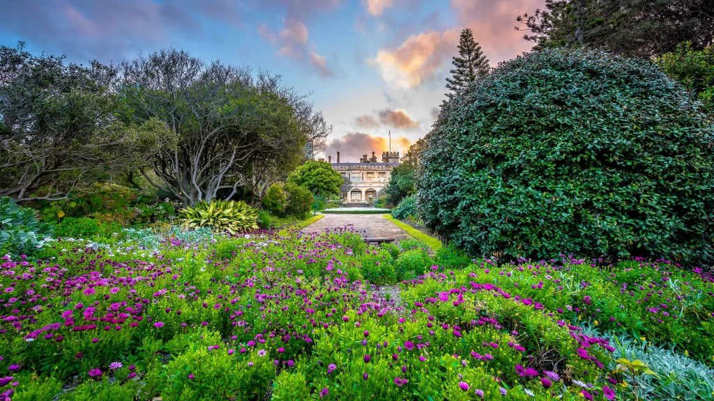 Flowers garden sunset trees path sky
