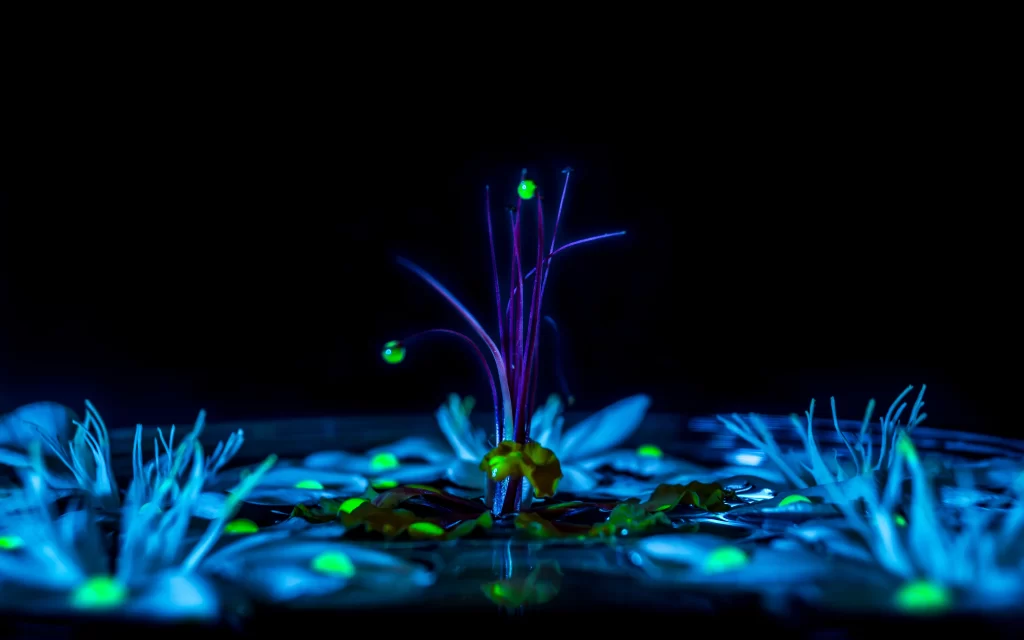 Flowers glowing neon blue purple fantasy