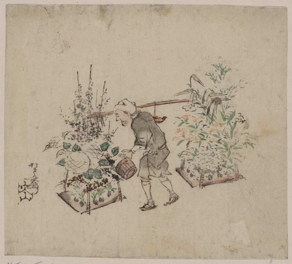Gardening Watering Plants Traditional Clothing Basket