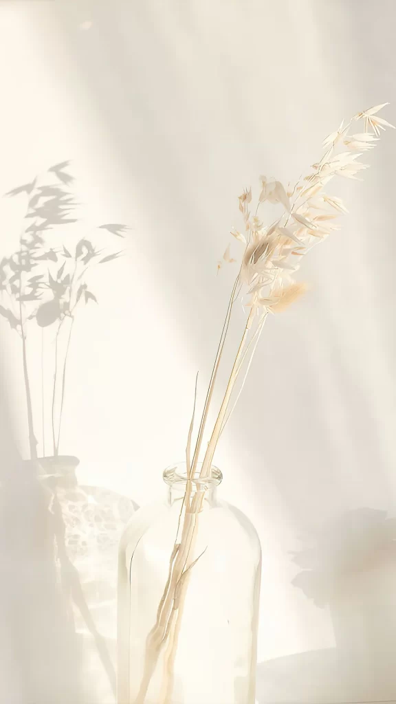 Glass Bottle Dried Flowers Shadow Sunlight White