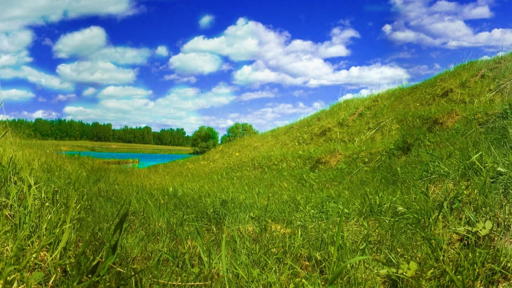 Grass sky clouds lake trees landscape