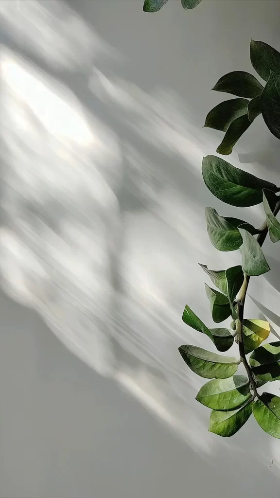 Green Leaves Sunlight Shadow Nature Serene