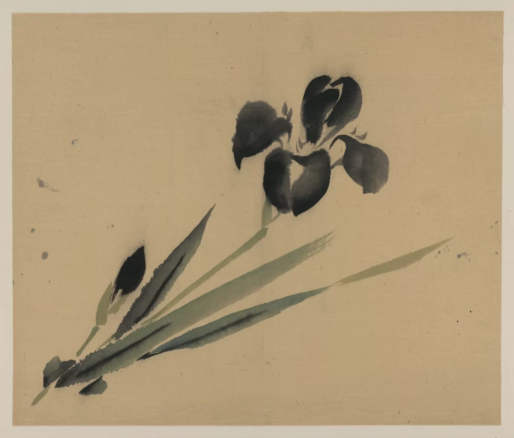 Ink Painting Flower Simplicity Elegance Nature
