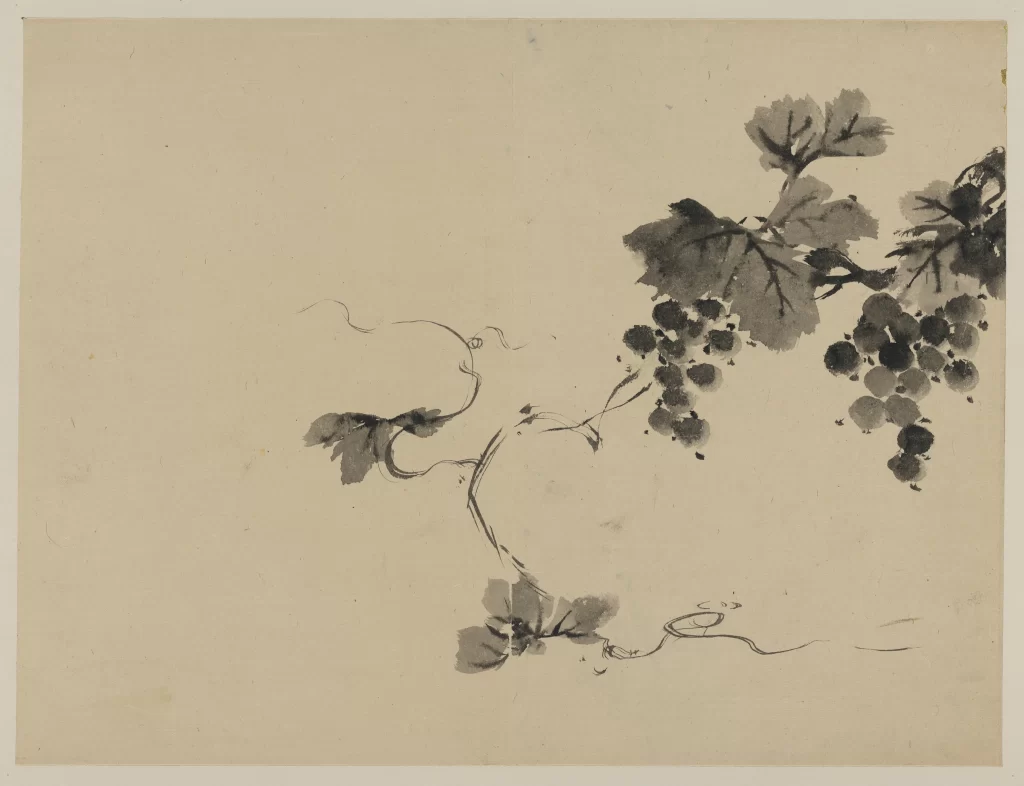 Ink Painting Grapevine Leaves Fruit