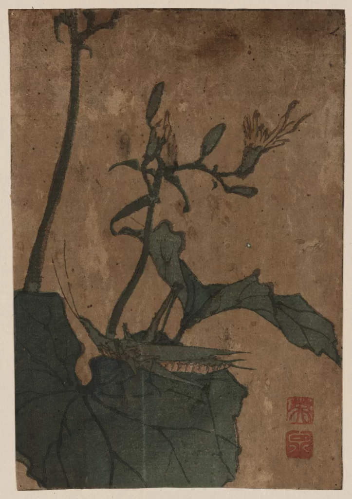 Insect Plant Leaves Flowers Traditional Art Nature