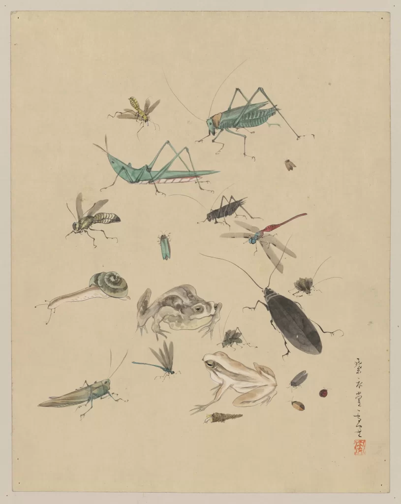 Insects Frogs Snail Traditional Art Nature