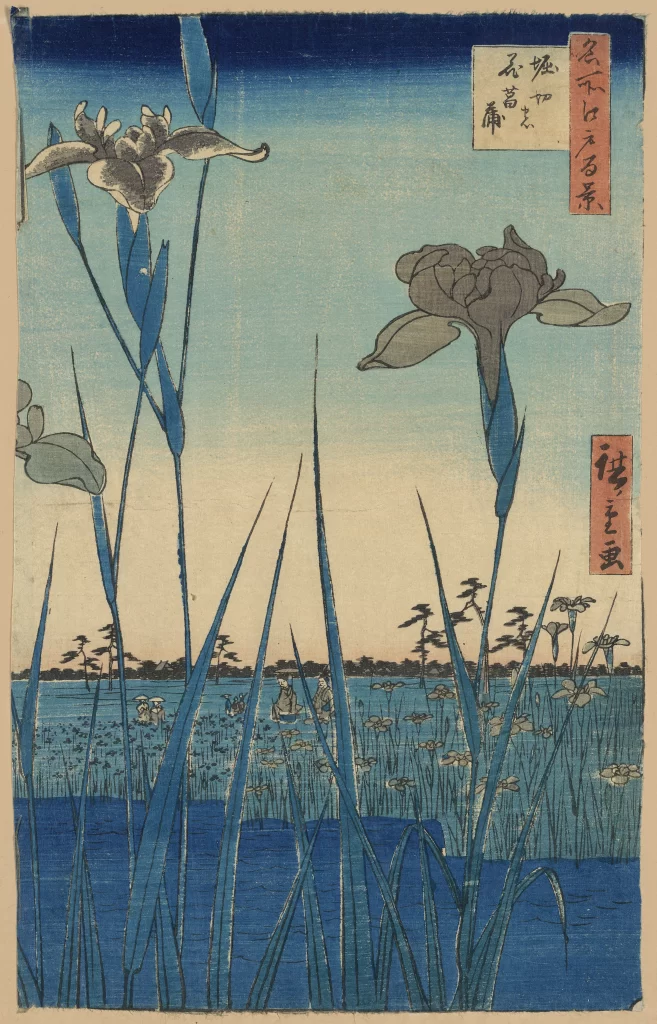 Iris Flowers Water Landscape Traditional Japanese Nature Serene