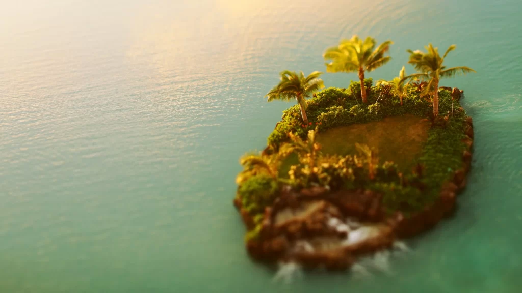 Island palm trees ocean sunset nature tranquility