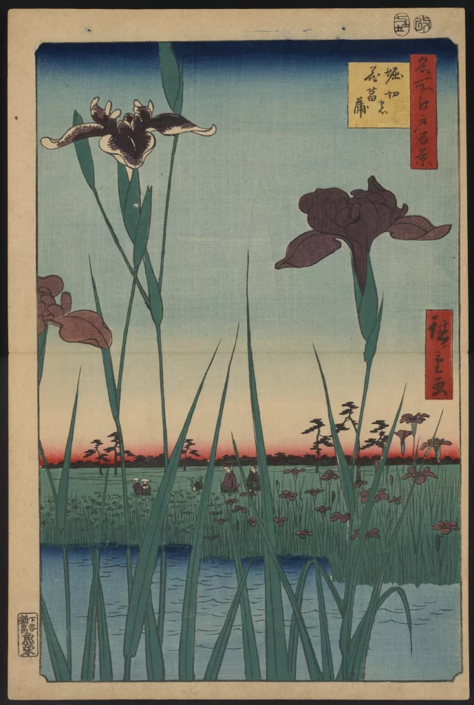 Japanese Art Nature Flowers Landscape Water