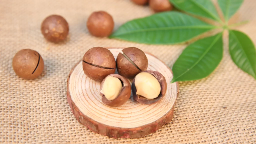 Macadamia Nuts Shell Green Leaves Wooden Slice