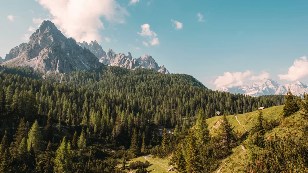 Mountain Forest Sky Clouds Pathway