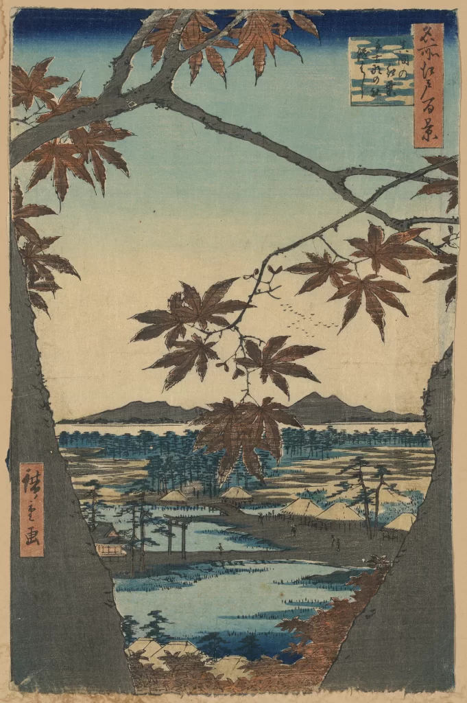 Nature Landscape Autumn Leaves Serene Tranquil Traditional