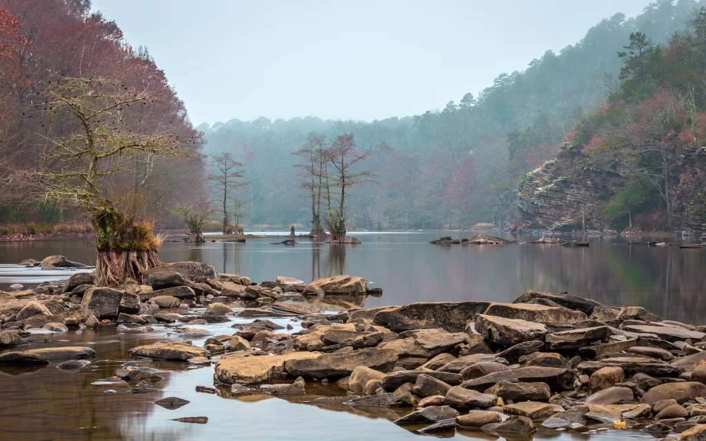 Nature Landscape Trees Water Rocks Mist