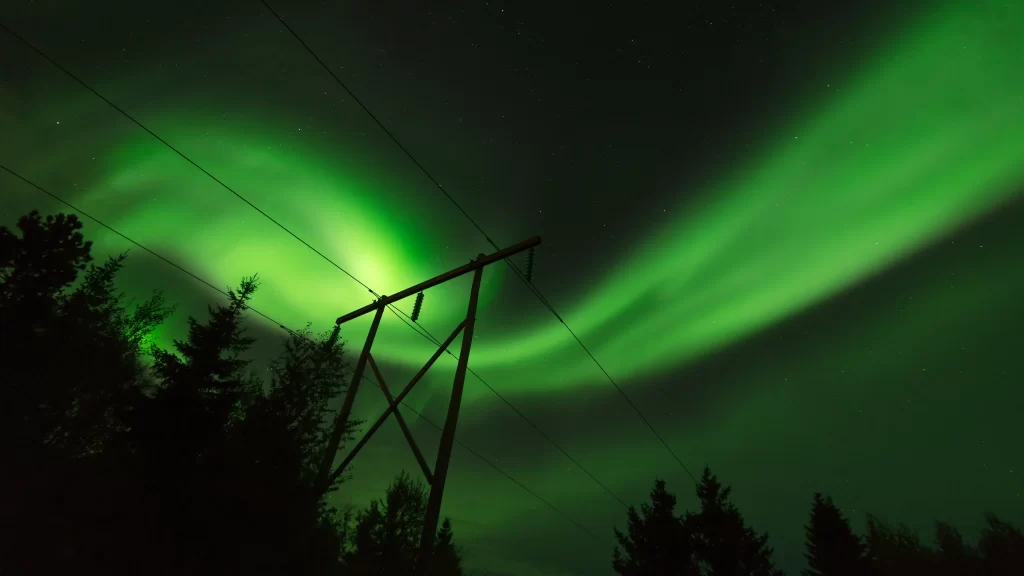 Northern Lights Power Lines Trees Night Sky
