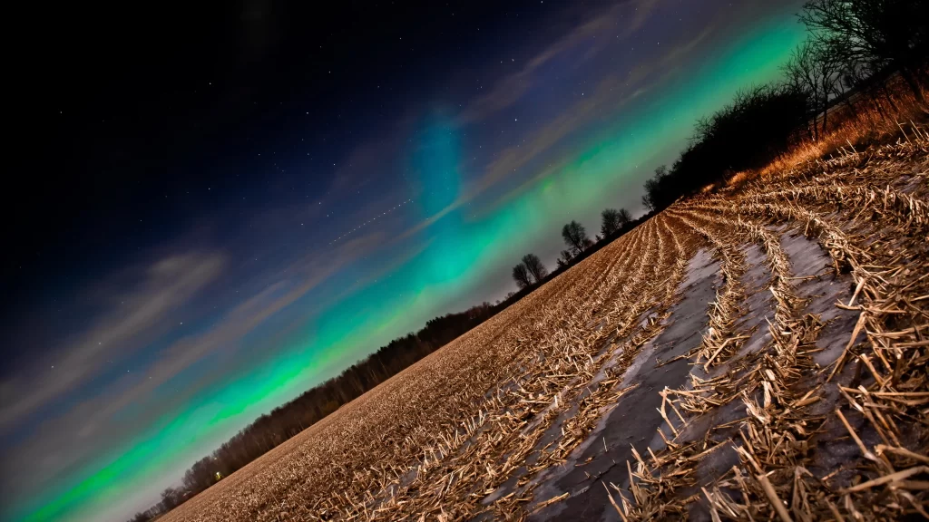 Northern Lights night sky stars field trees landscape aurora natural beauty