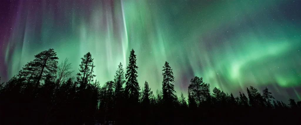 Northern Lights Forest Night Sky Stars Green Purple