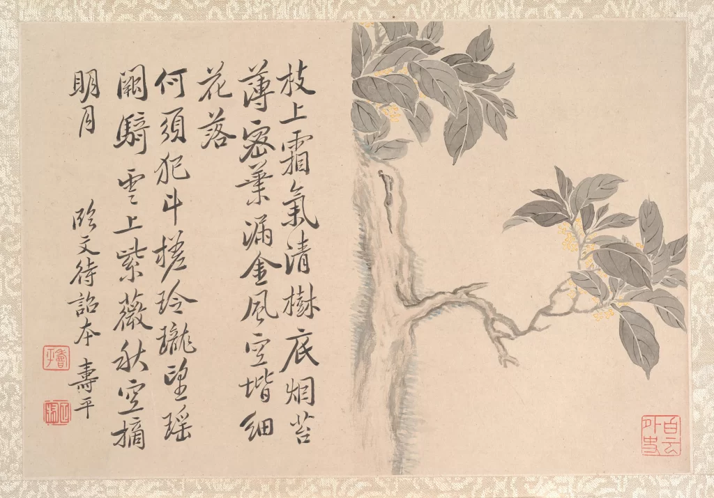 Osmanthus Branch Blossoms Yun Shouping