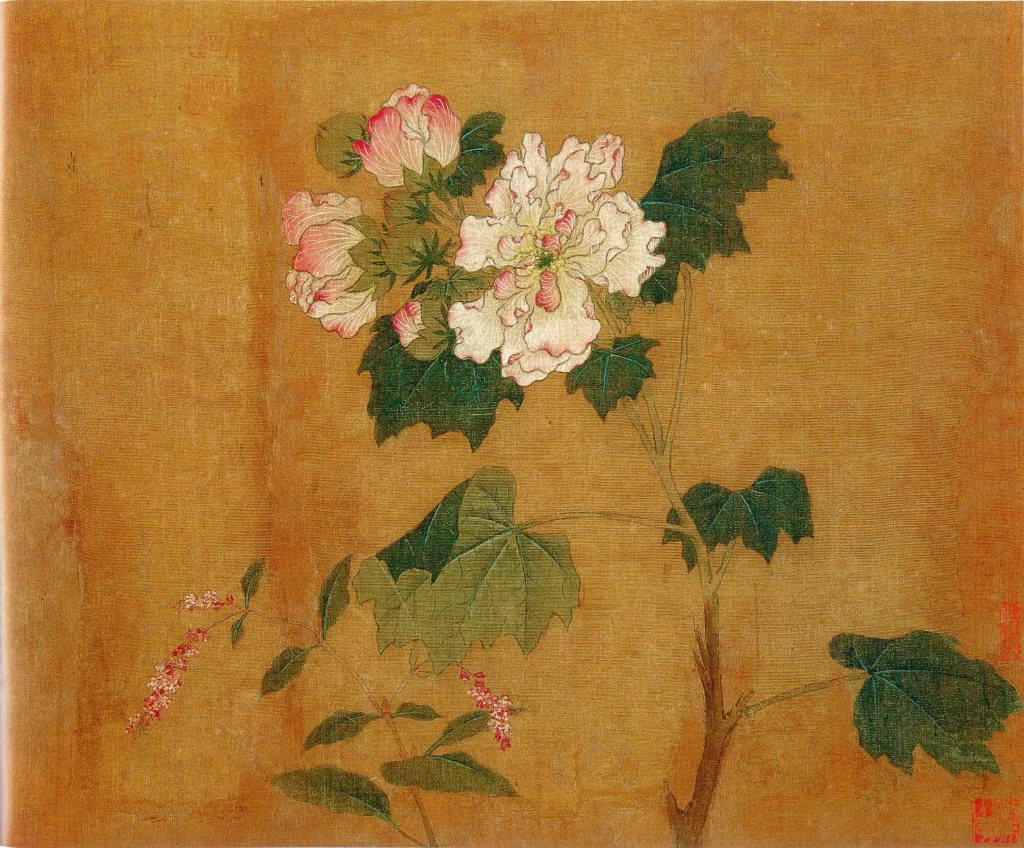 Pink Peony Leaves Foliage Huang Jucai