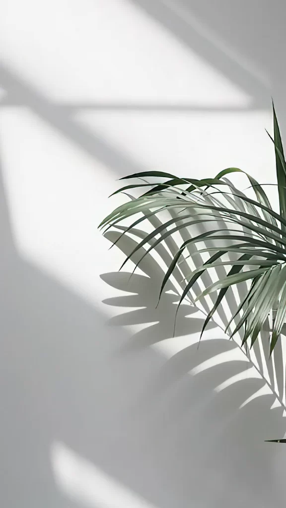 Plant Shadow Light Green Wall