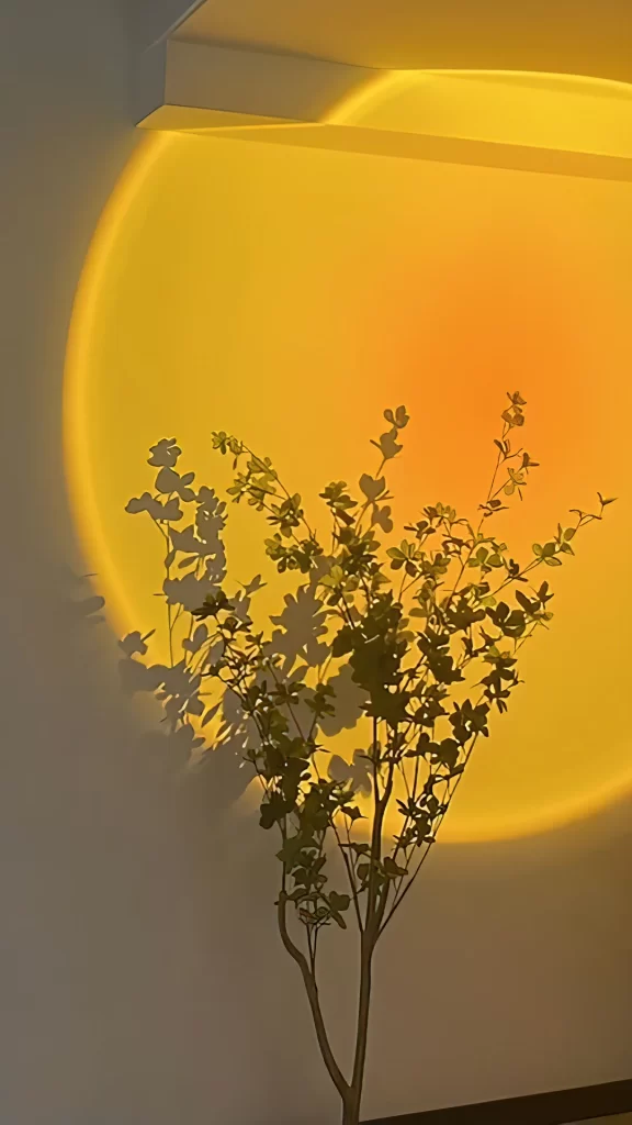 Plant Shadow Sunlight Yellow Gradient Wall
