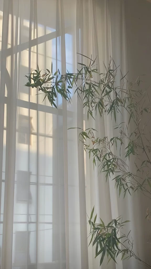 Plant Sheer Curtain Sunlight Shadow Interior