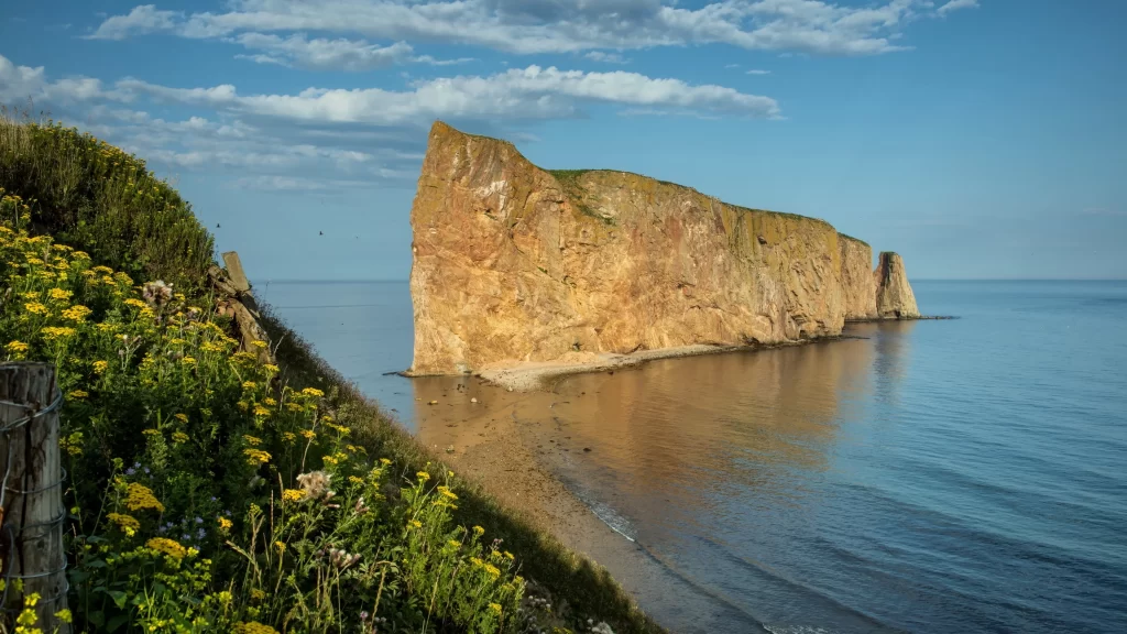 Rocky cliff ocean blue sky yellow flowers greenery reflection