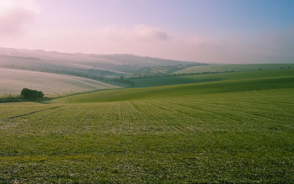 Rolling Hills Green Fields Sunrise Misty Sky Tranquil