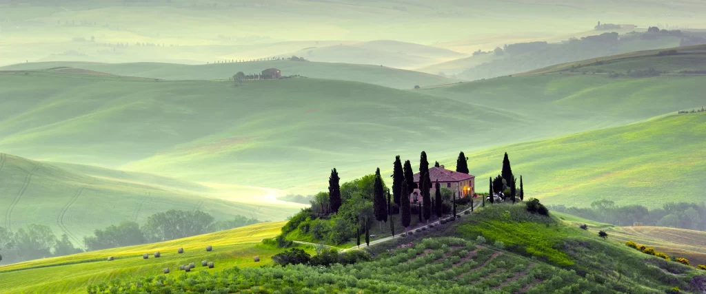 Rolling Hills Greenery Farmhouse Trees Mist Tranquility