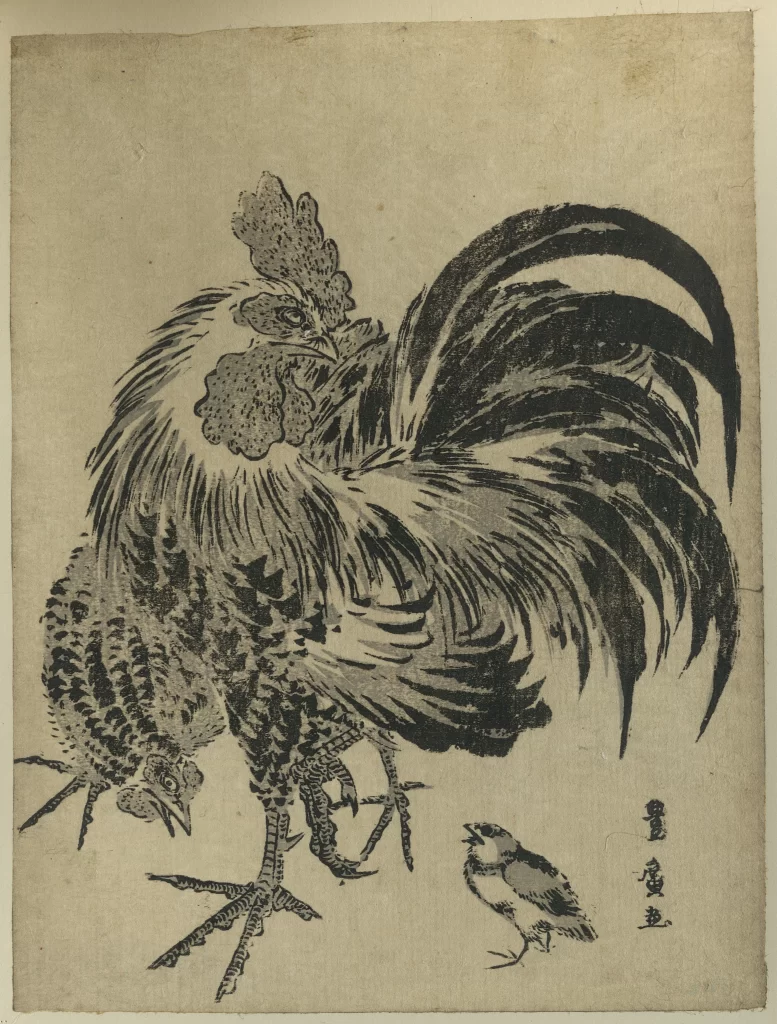 Rooster Chickens Feathers Ink Art Japanese