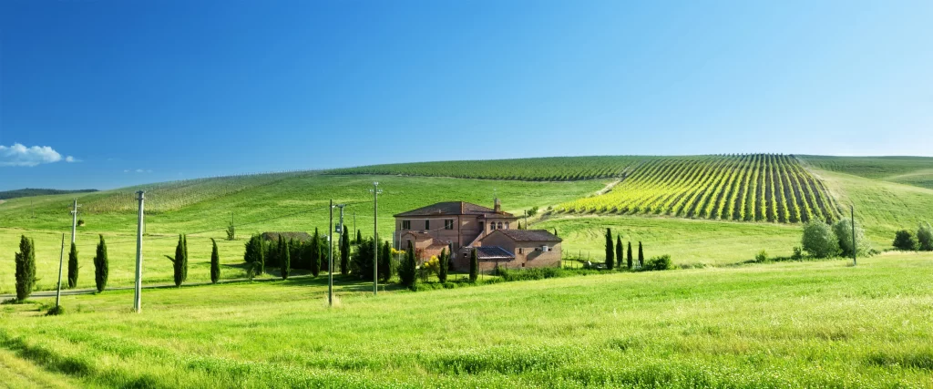 Rural Landscape Green Fields House Trees Clear Sky Vineyard