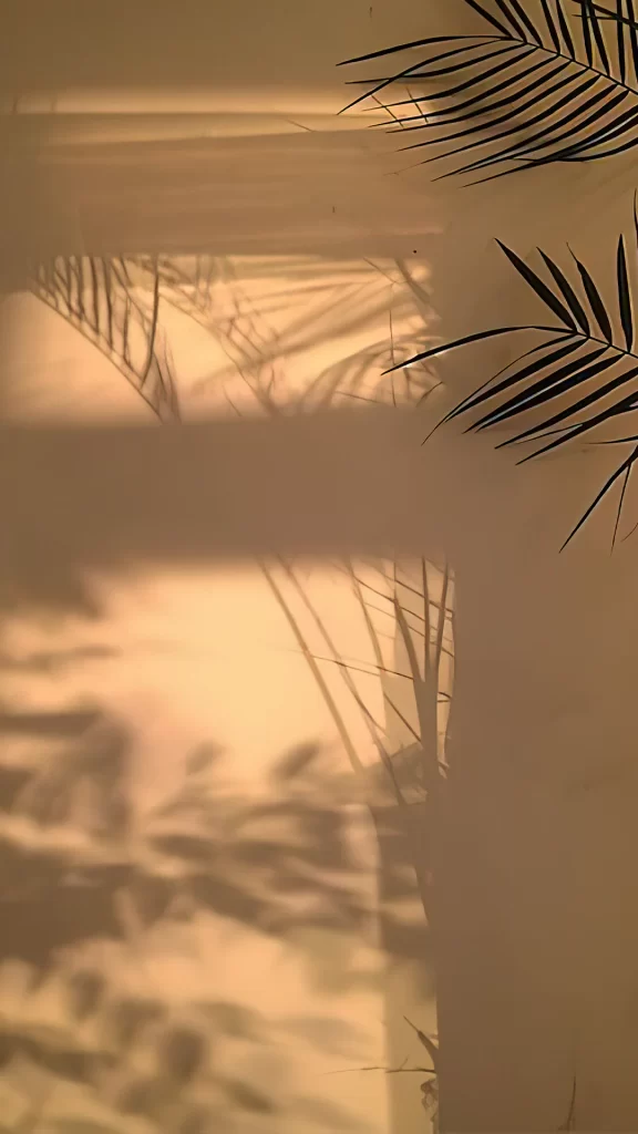 Shadow Leaves Sunlight Wall Tranquil