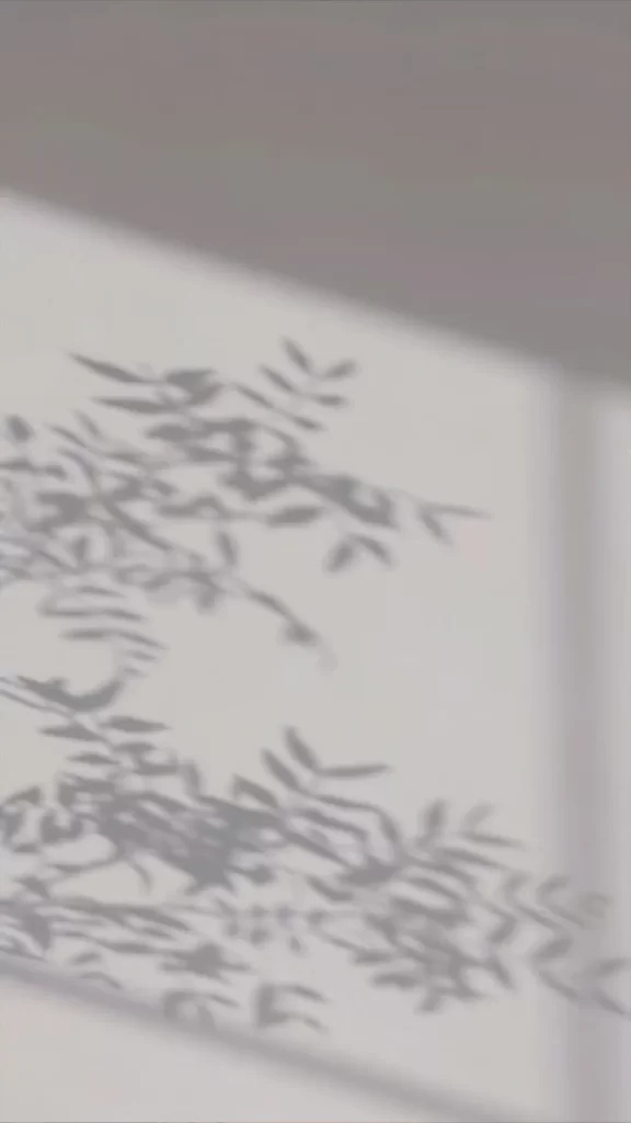 Shadow Leaves Wall Light Nature