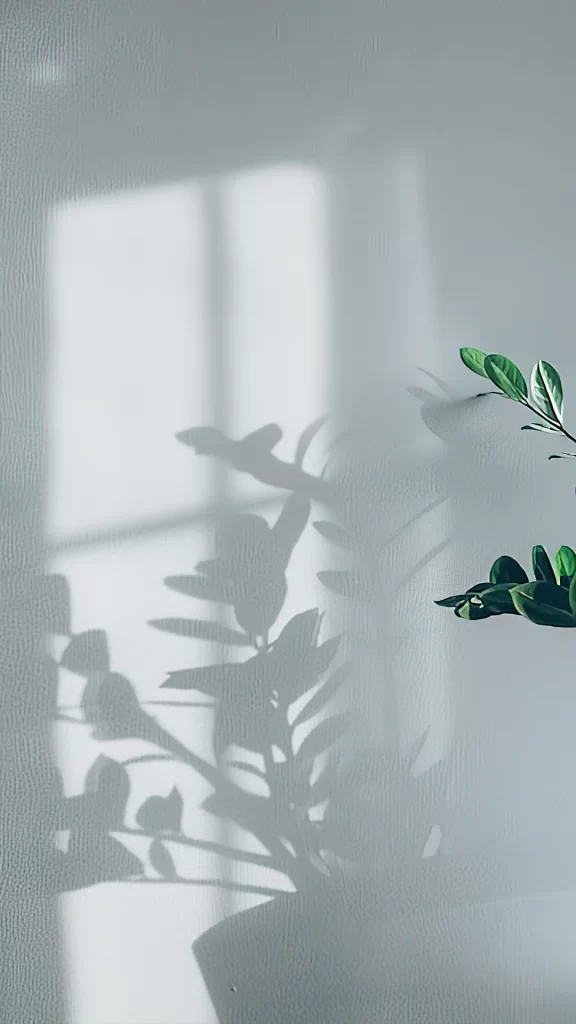 Shadow Plant Wall Sunlight Green Leaves