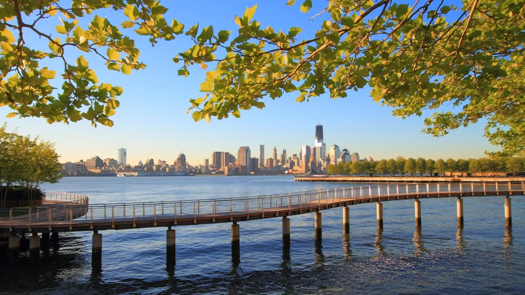 Skyline water bridge trees city blue