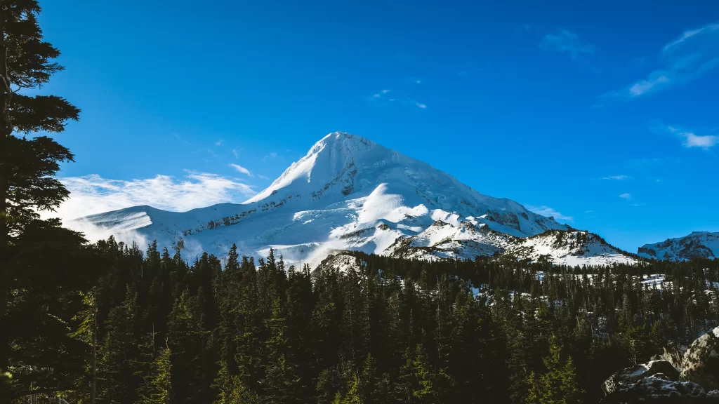 Snowy Mountain Pine Trees Clear Sky Majestic Peaks