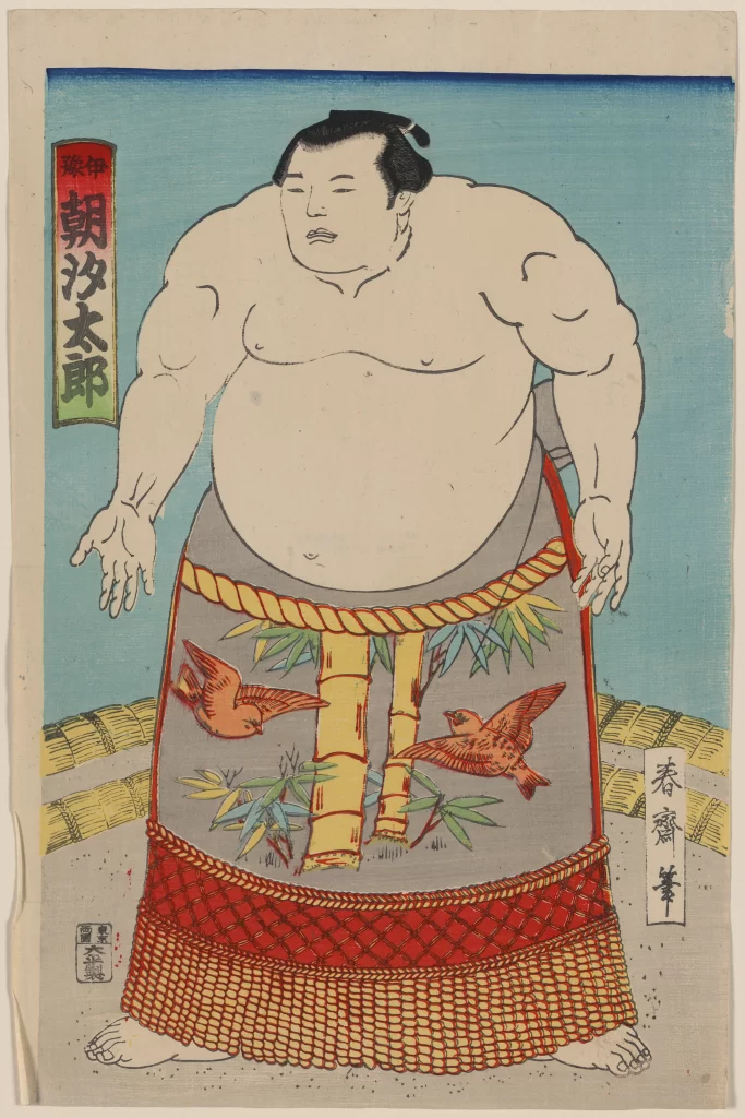 Sumo Wrestler Traditional Attire Japanese Art Woodblock Print Muscular Birds
