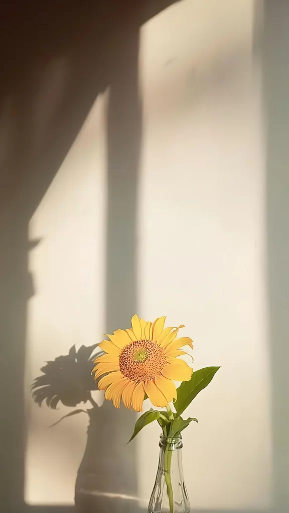 Sunflower Vase Shadow Sunlight Wall Minimalist