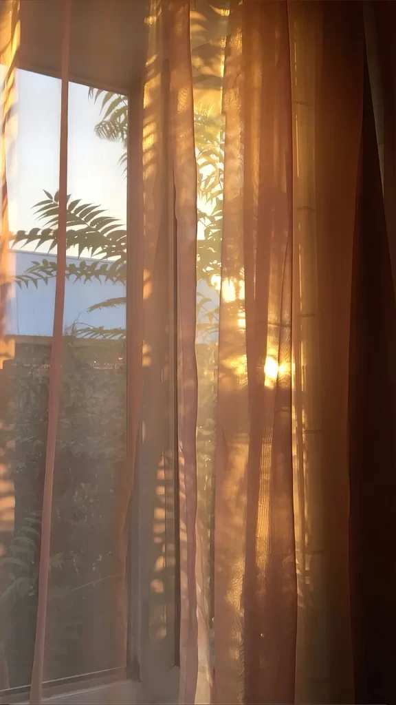 Sunlight Curtains Window Plants Shadows Warmth