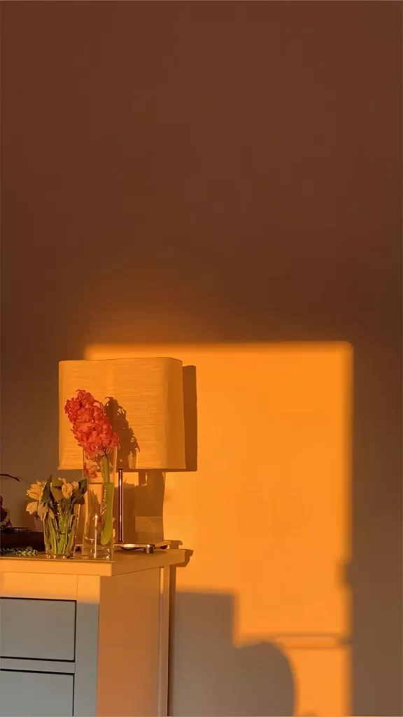 Sunlight Lamp Flowers Vase Shadow Warm