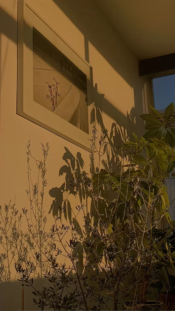 Sunlight Plants Shadow Interior Wall Art
