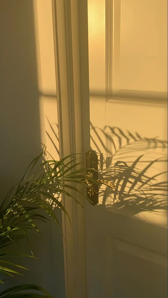Sunlight Shadow Door Plant Interior Warmth